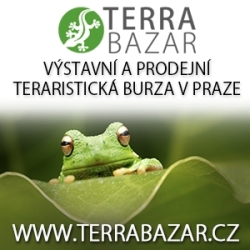 Terrabazar - Exhibition and sales terrarium marketplace in Prague with long tradition