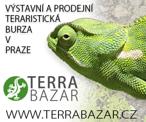 Terrabazar - Exhibition and sales terrarium marketplace in Prague with long tradition