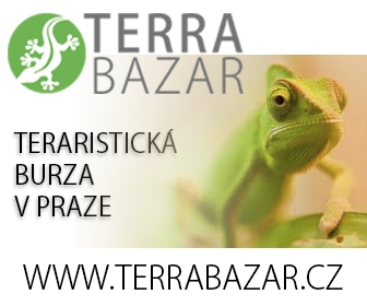 Terrabazar - Exhibition and sales terrarium marketplace in Prague with long tradition