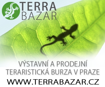 Terrabazar - Exhibition and sales terrarium marketplace in Prague with long tradition