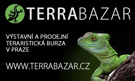 Terrabazar - Exhibition and sales terrarium marketplace in Prague with long tradition