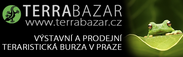 Terrabazar - Exhibition and sales terrarium marketplace in Prague with long tradition