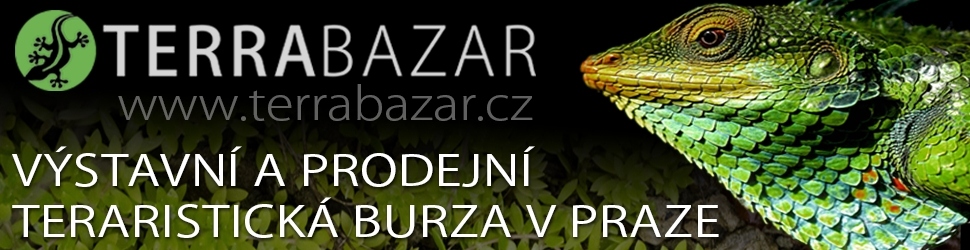 Terrabazar - Exhibition and sales terrarium marketplace in Prague with long tradition